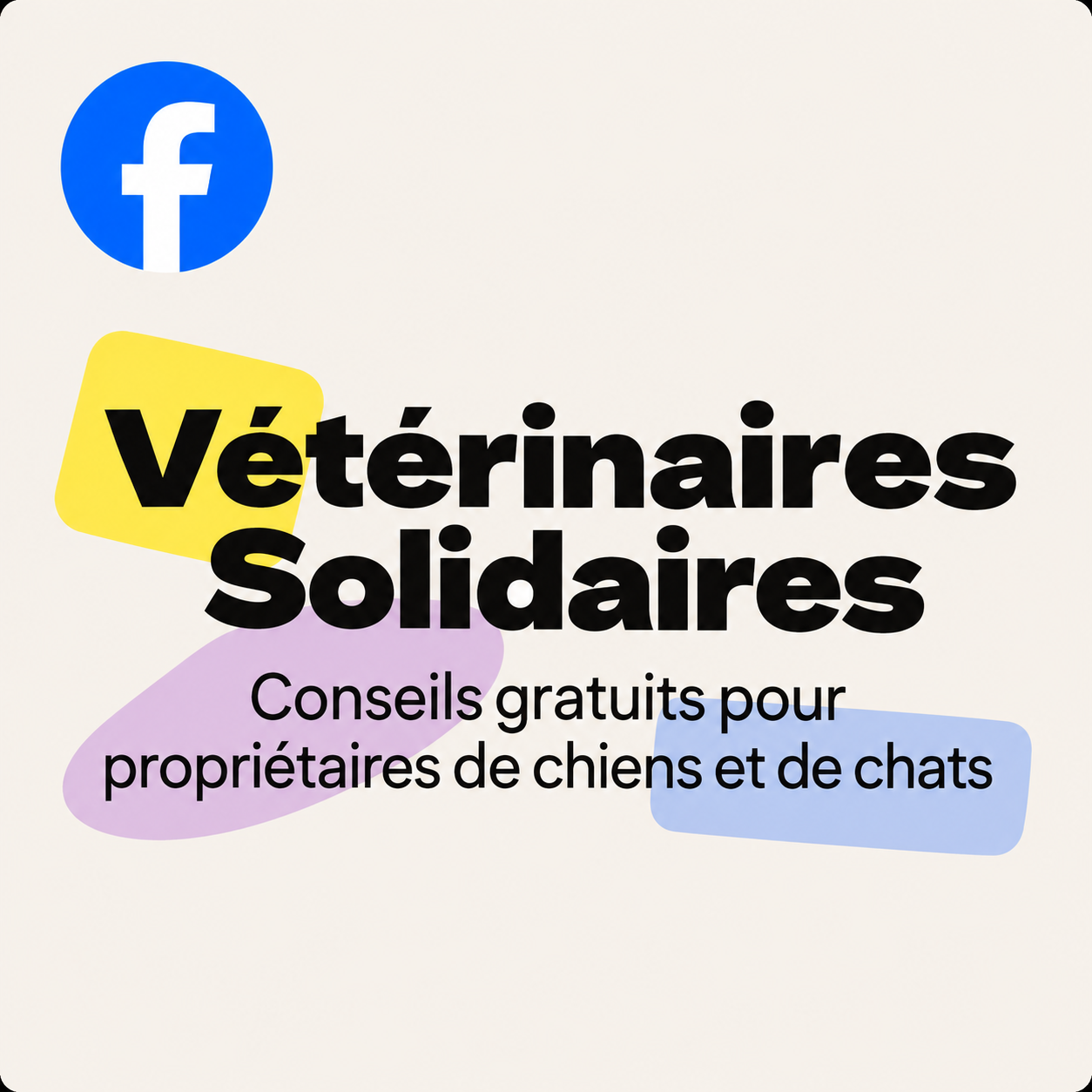 Vétérinaire Solidaire
